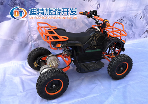 小型娛樂公牛車